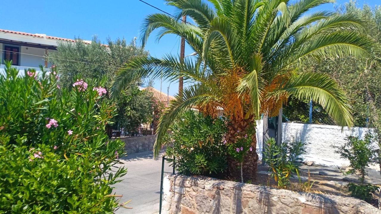 Anessis Cosmos Aparthotel Anaxos Buitenkant foto