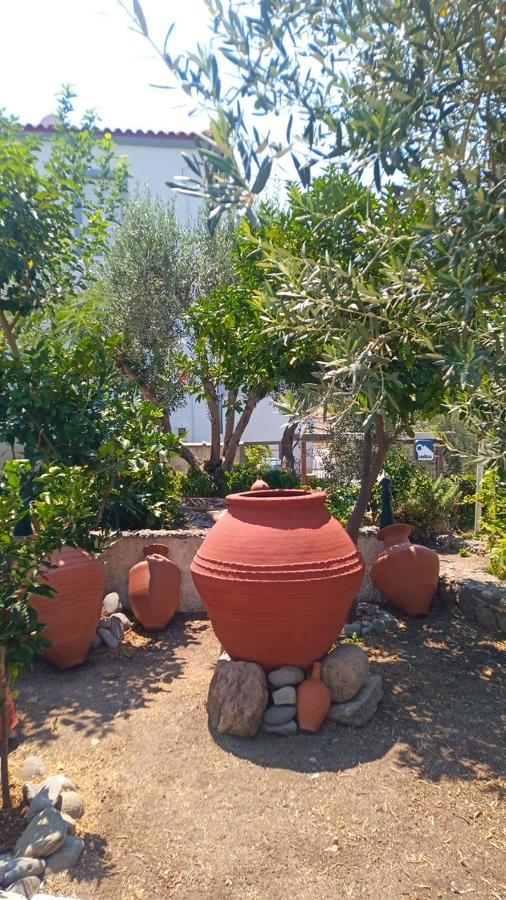 Anessis Cosmos Aparthotel Anaxos Buitenkant foto