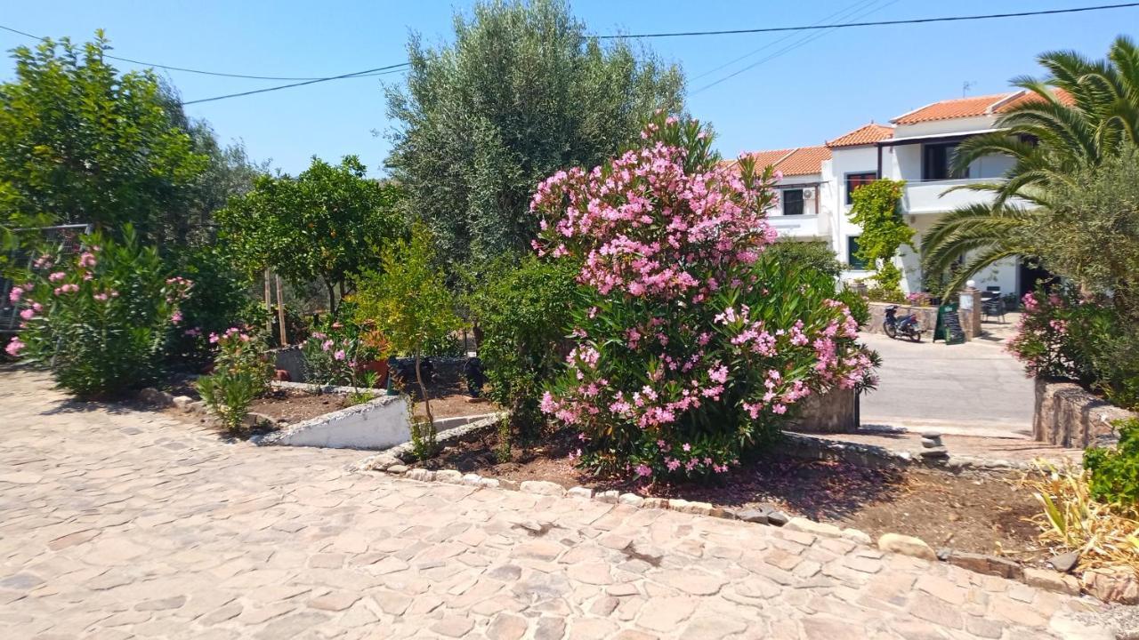 Anessis Cosmos Aparthotel Anaxos Buitenkant foto